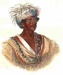 Indian cherokee